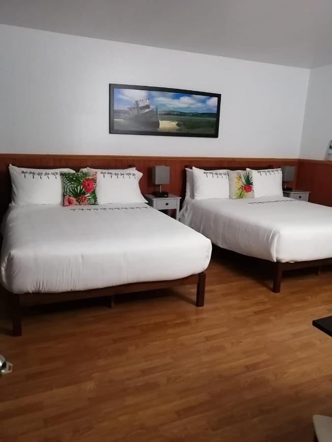 Hotel Fleurs Karaibes Saint-Alexandre-de-Kamouraska Εξωτερικό φωτογραφία